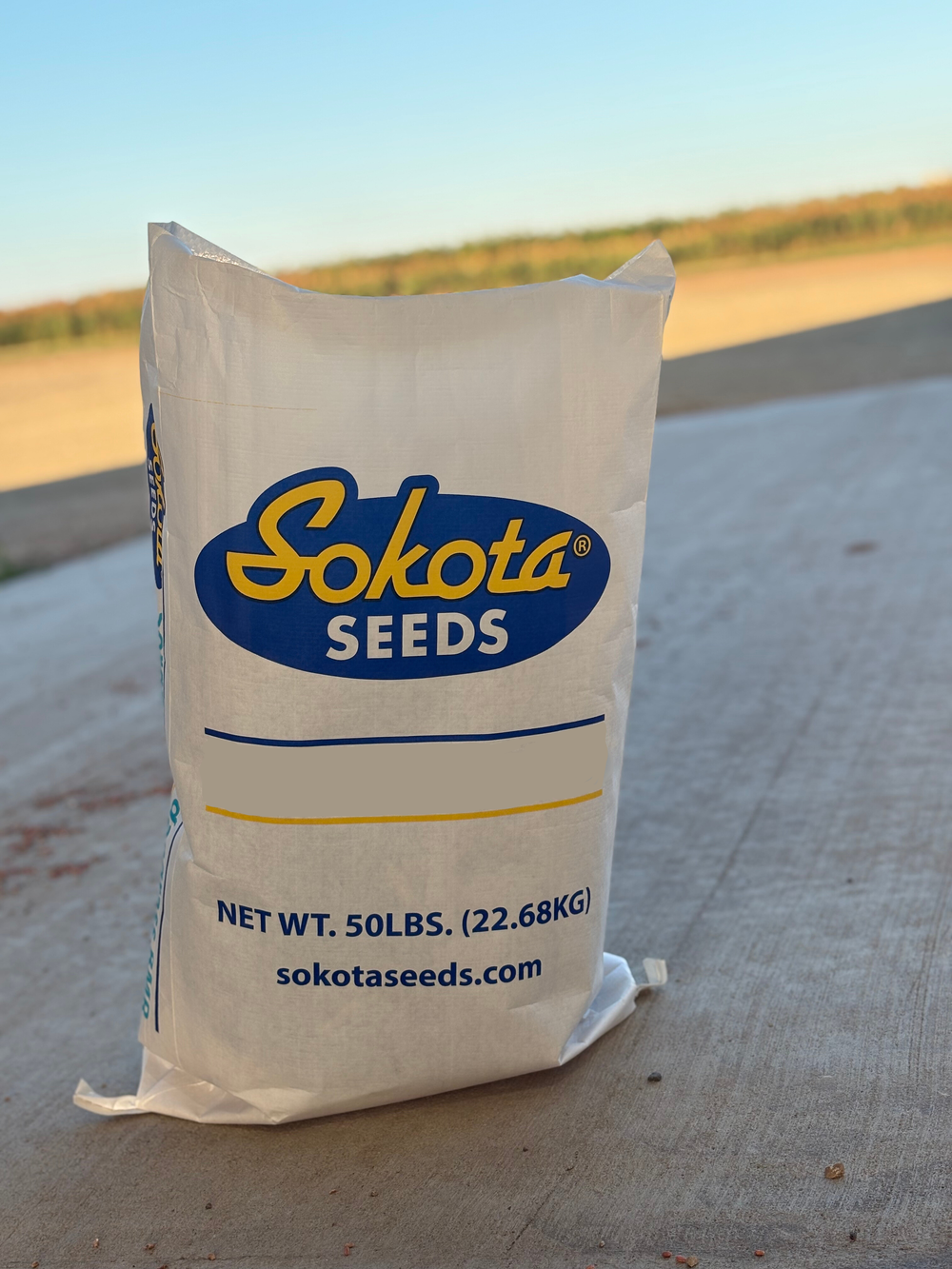 SS-605 — Sokota Seeds